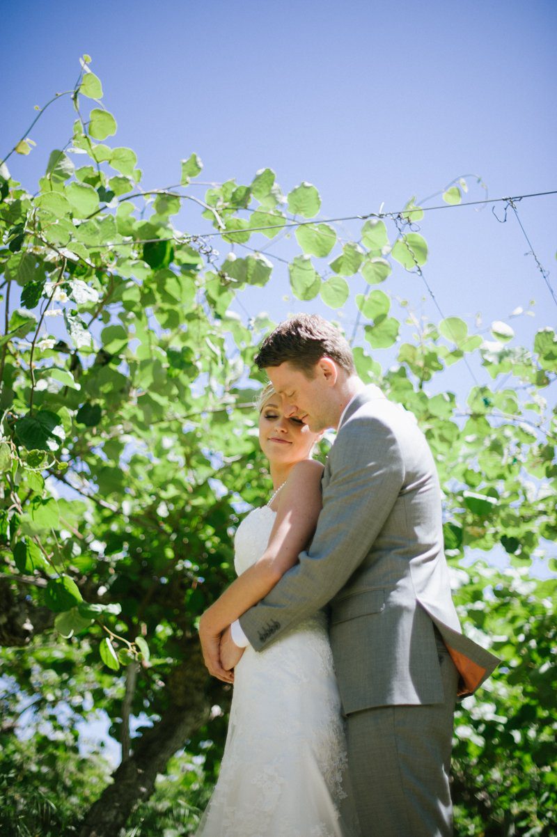 bride-and-groom-portraits-at-kiwi-farm-chico-ca