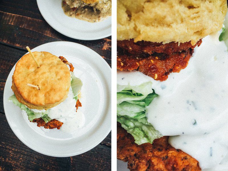 Pine State biscuits - Shannon Rosan Photography